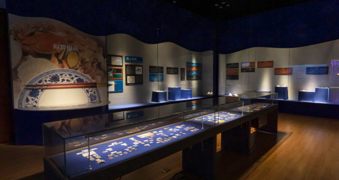山东博物馆原创自然类展览“三千玲珑——中国海洋贝类展”大赏(图11)