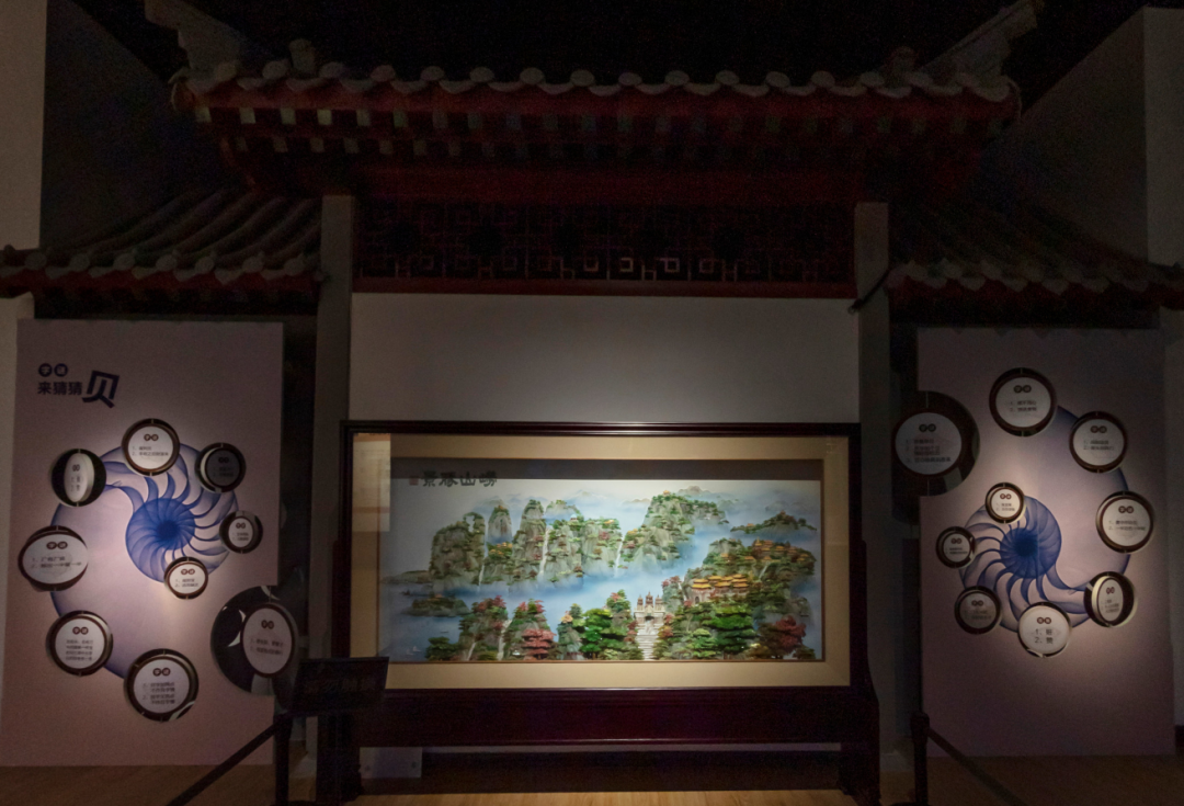 山东博物馆原创自然类展览“三千玲珑——中国海洋贝类展”大赏(图14)